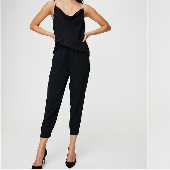 Aritzia dexter pants - Picture 3 of 5